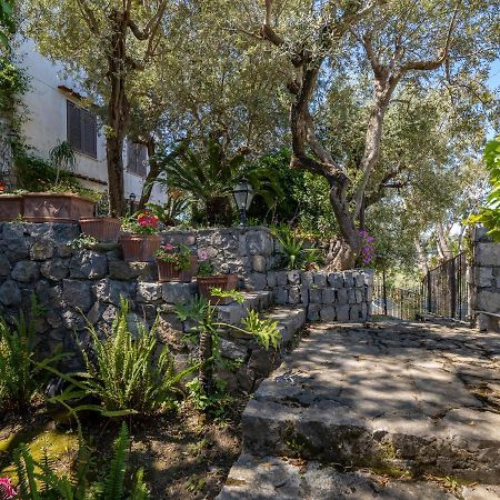 Ulivi Apt Vila Sorrento Exterior foto