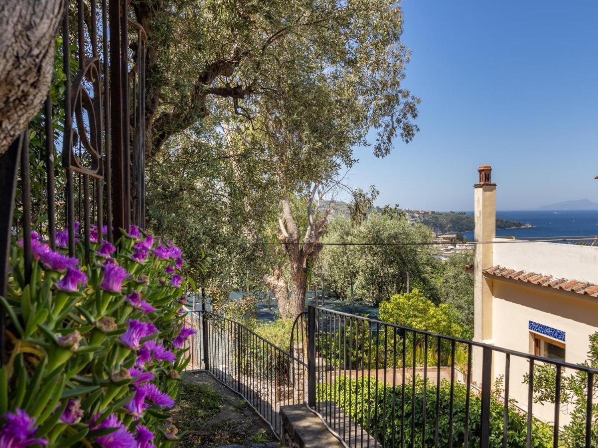 Ulivi Apt Vila Sorrento Exterior foto