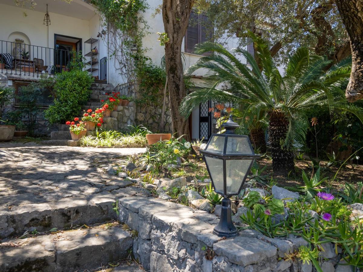Ulivi Apt Vila Sorrento Exterior foto