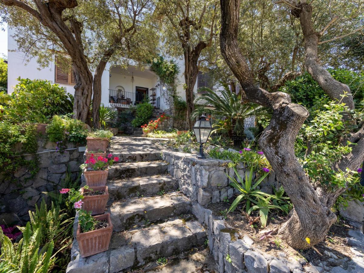 Ulivi Apt Vila Sorrento Exterior foto